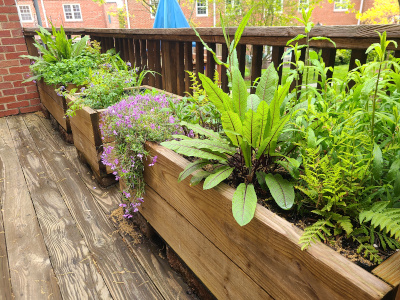 Deck Planter