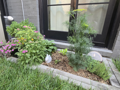 An herb garden replaced this pointless patio