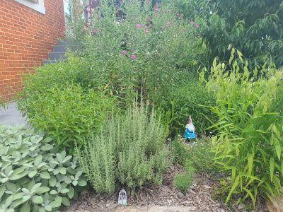 Homestead frontyard