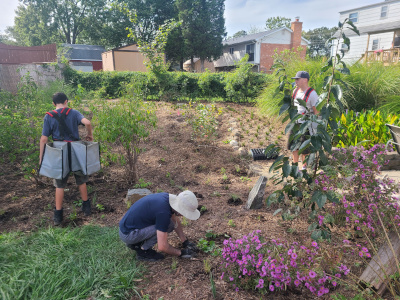 Homestead install