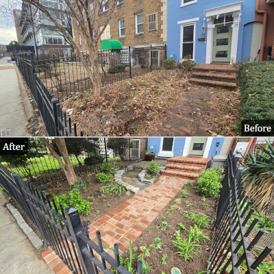 An urban front yard transformed from drab to delightful