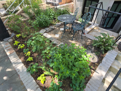 Urban patio garden