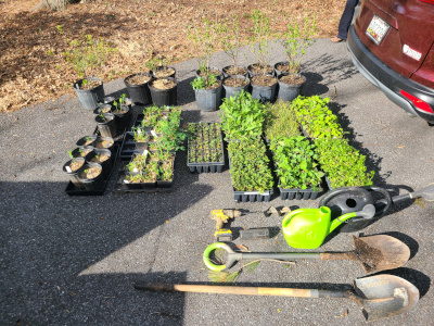 Pre-install knolling