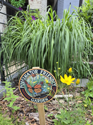 Pollinator friendly garden