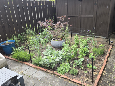 Shady patio in late Spring