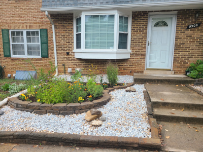 Suburban native garden