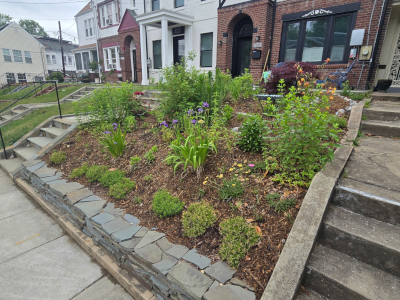 Sunny Sloped garden