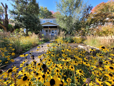 Fall Garden