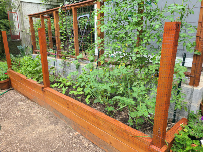 Raised Beds in Takoma Park