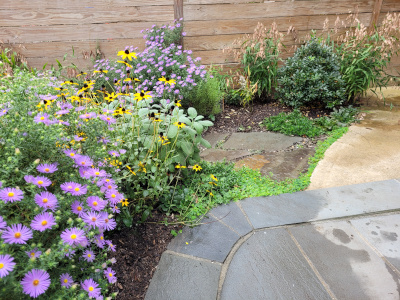 Urban pollinator garden