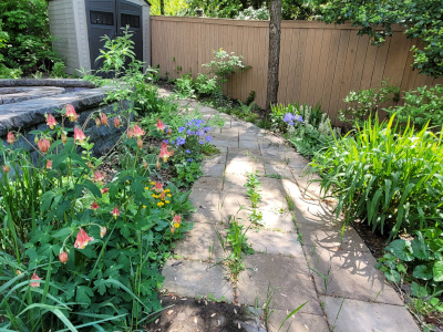 Woodland garden showing spring colors